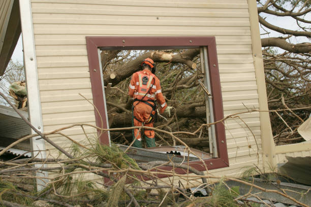 Best Root Management and Removal  in Thedral City, CA